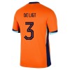 Camisola Holanda De Ligt 3 Homen Equipamento 1ª Euro 2024